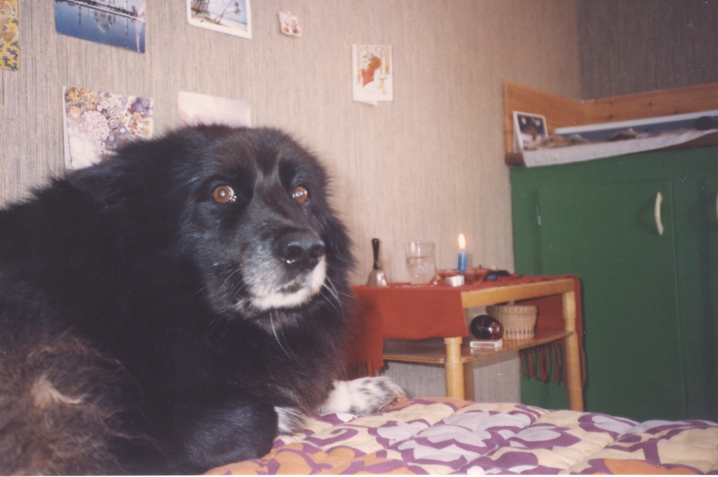 xBenohYouGetOffMyBed