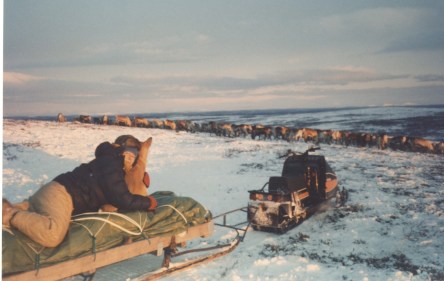 xReindeerDriveHoldDogDontFallOff